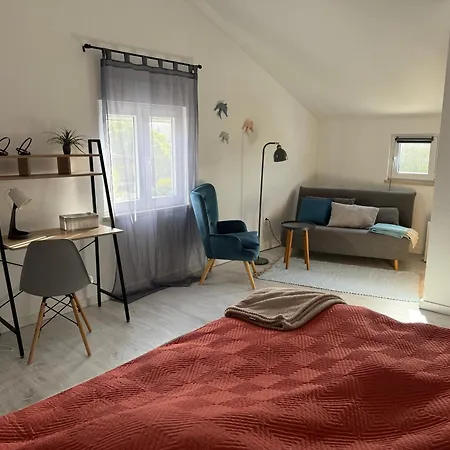 Octopus Space * Sao Martinho do Porto